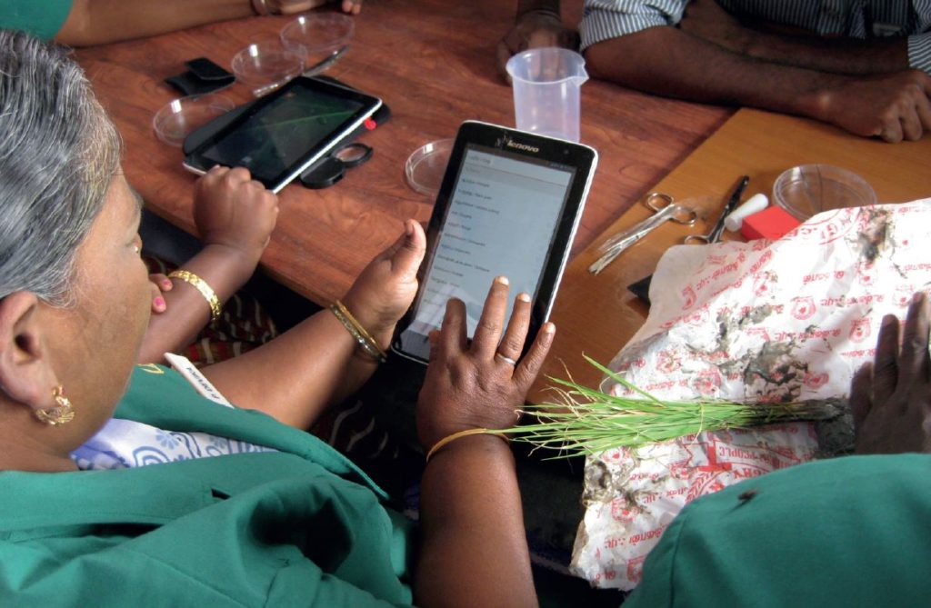 Plant doctor using a tablet at an e-plant clinic in India