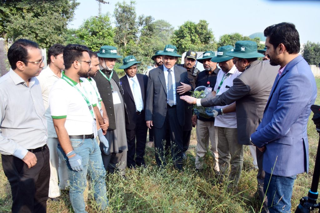 CABI and UAF staff gather around parthenium plants.