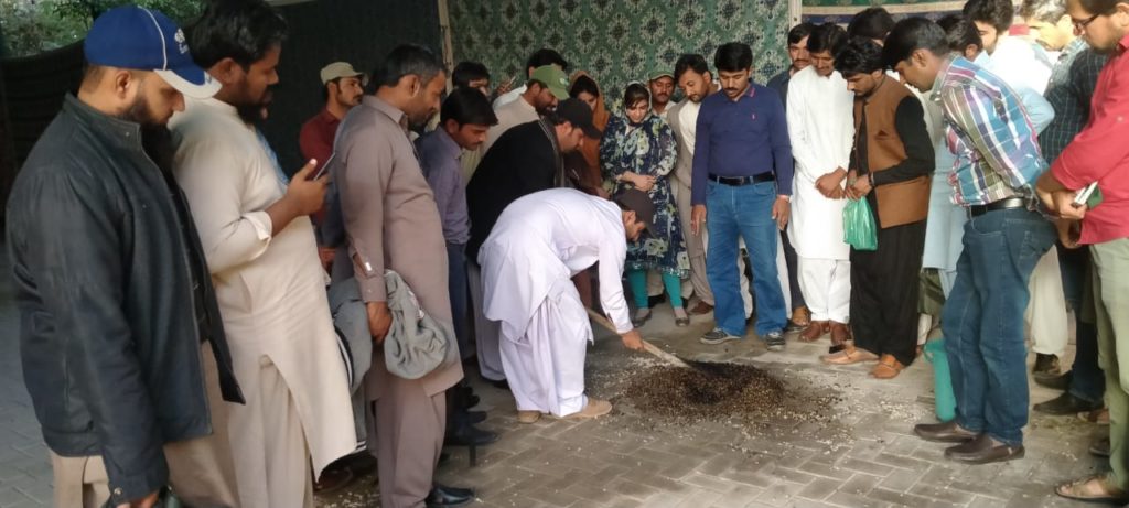 Training of trainers on de-linting of cotton seed to ensure