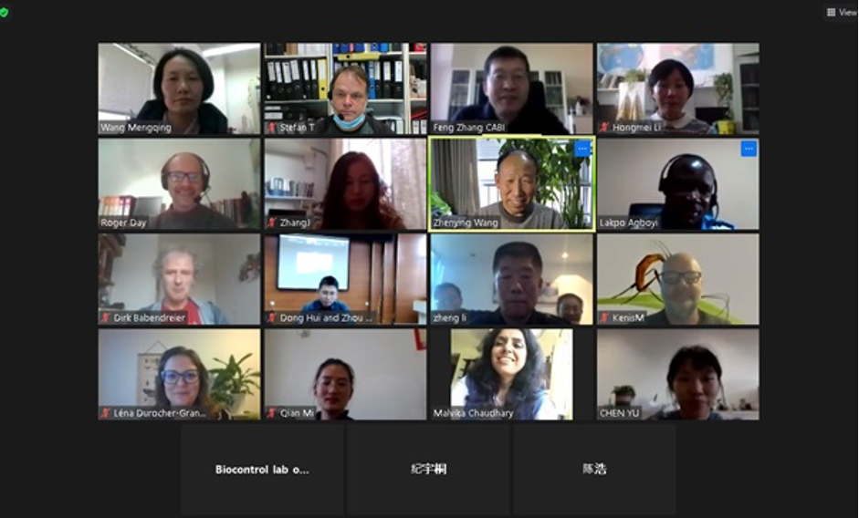 MARA China-CABI Joint Laboratory for Biosafety and MARA China-CABI European Laboratory scientists on Zoom