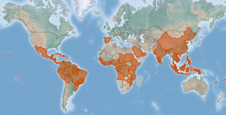 An example of the new maps with the datasheet on coffee berry borer Hypothenemus hampei