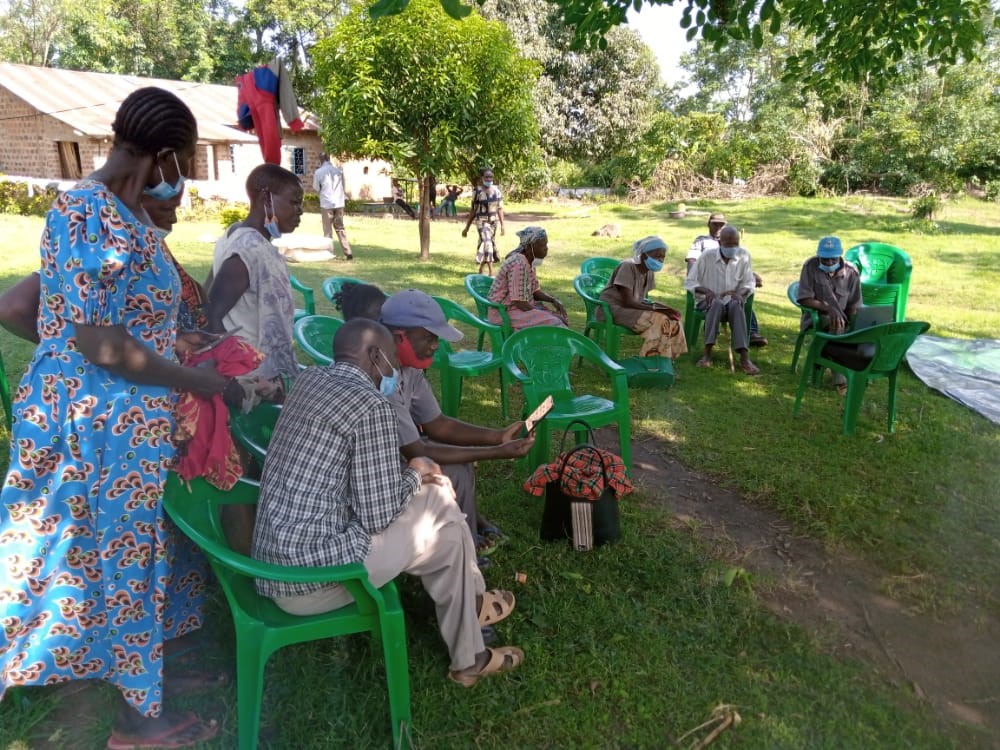 CABI study identifies safer options for fall armyworm control in Africa 