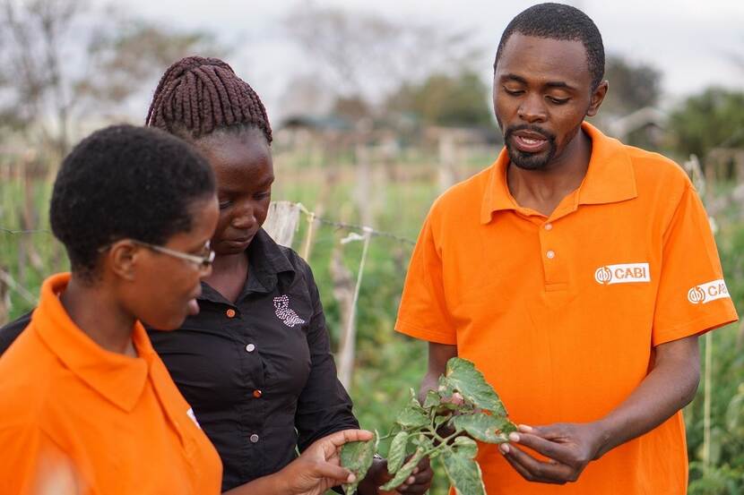 CABI plant doctors