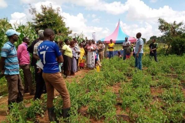 Farmers in Kenya attending a field day