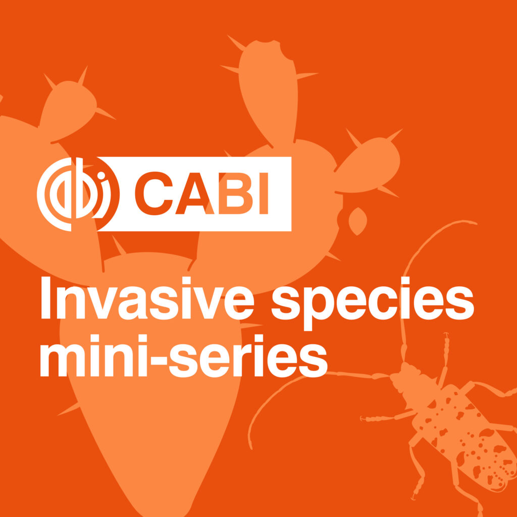 Cabi Capsule, April 2022