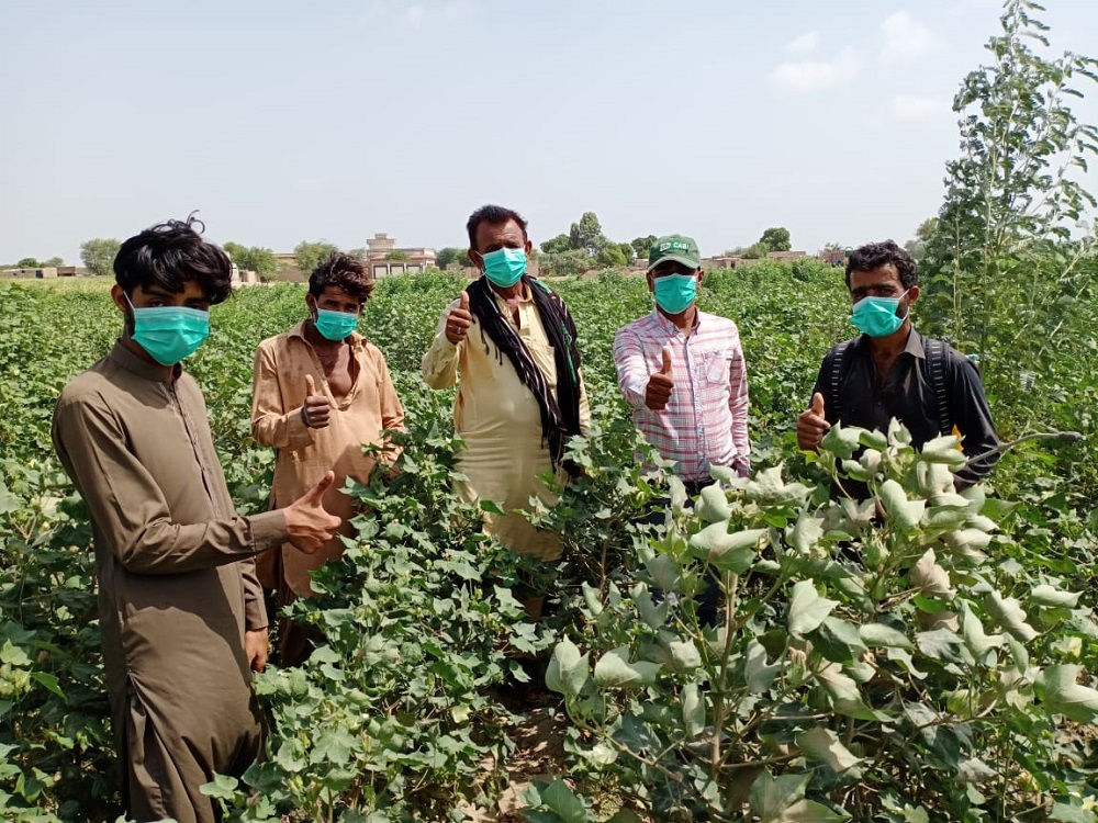 Training of trainers on de-linting of cotton seed to ensure