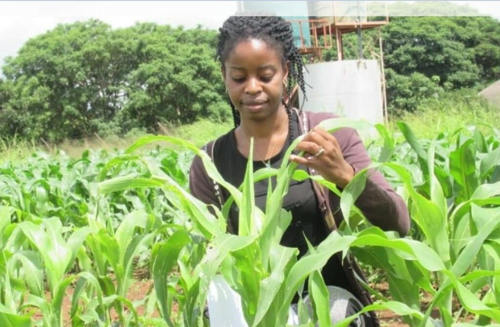 Women and Girls in Science, Chapwa Kasoma