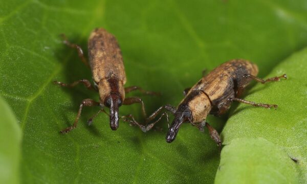 bpanews_23baca93-a3c6-44c8-a99d-c86f11255667_1