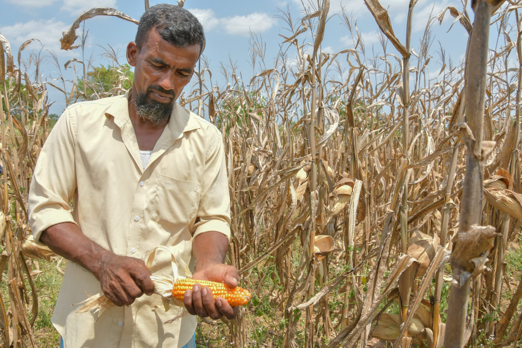 Management of invasive species in Sri Lanka
